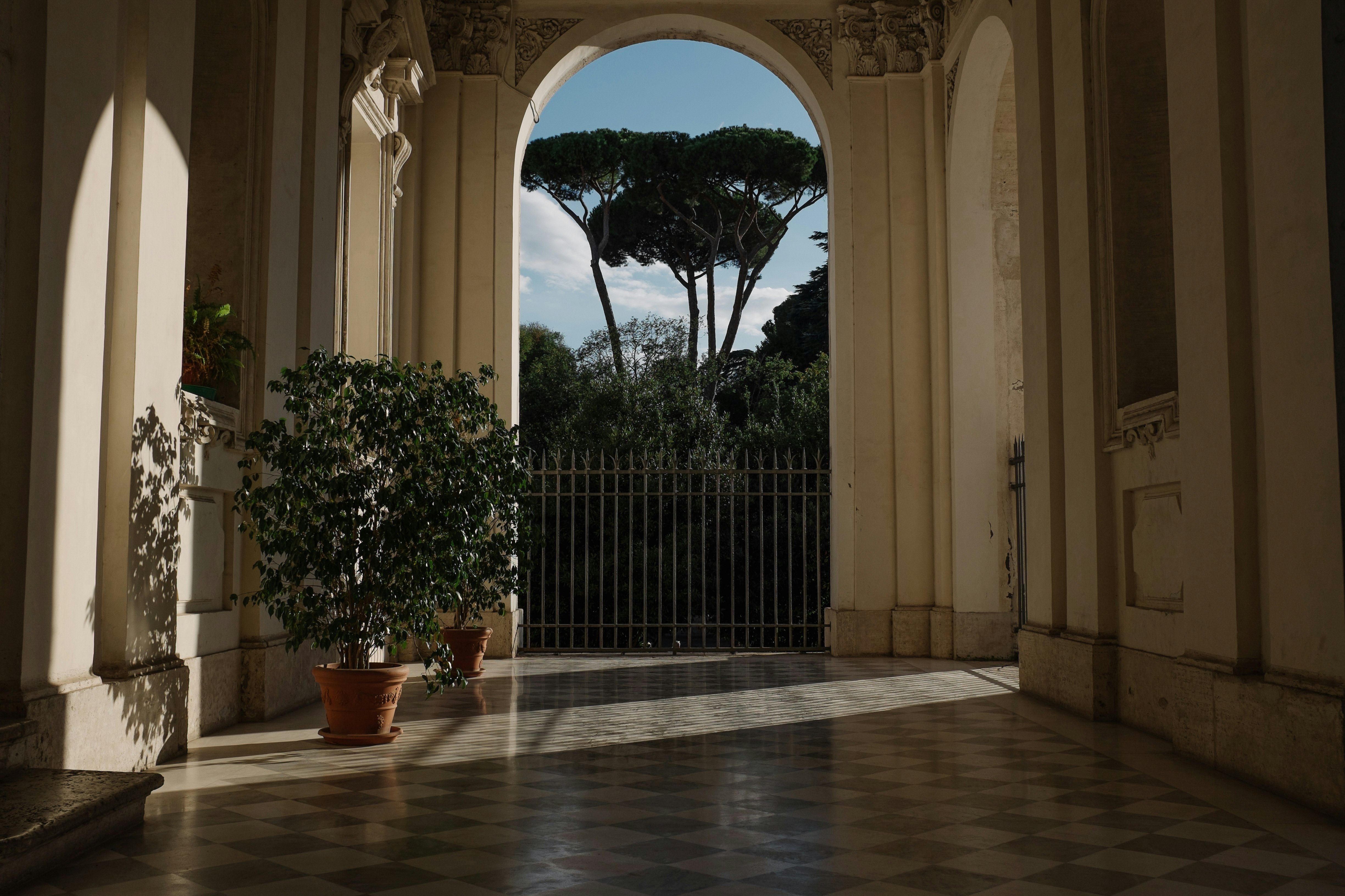 photo of green leafed plants inside hallway